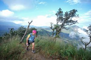 BIB: 
                            <button type="button" onclick="openModal(22371877)" class="btn btn-primary btn-sm float-right btn-popup" data-toggle="modal" data-target=".modal-high-quality">
                        <i class="fas fa-shopping-cart"></i> Add to Cart
                    </button>
                                            <button type="button" onclick="isThisMe(22371877, true)" class="btn btn-success btn-sm float-right btn-popup btn-isme hidden" data-toggle="tooltip" data-placement="bottom" title="นี่คือรูปของคุณใช่ไหม คลิกที่นี่เพื่อเอาเข้าอัลบั้ม">
                        <i class="fas fa-plus"></i> Add to album
                    </button>
                    <button type="button" onclick="isThisMe(22371877, false)" class="btn btn-warning btn-sm float-right btn-popup btn-isnotme hidden">
                        <i class="fas fa-ban"></i> Remove from album
                    </button>